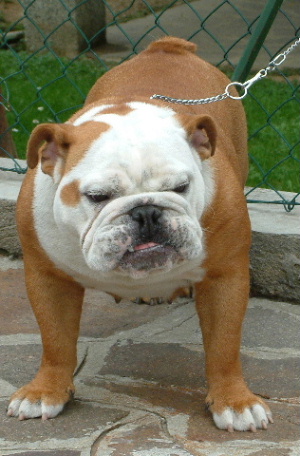 DSCF0005b.JPG