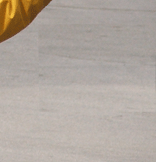 DSCF0009_1rit.gif
