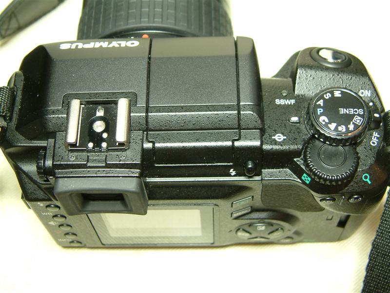 DSCF0013 (Medium).JPG
