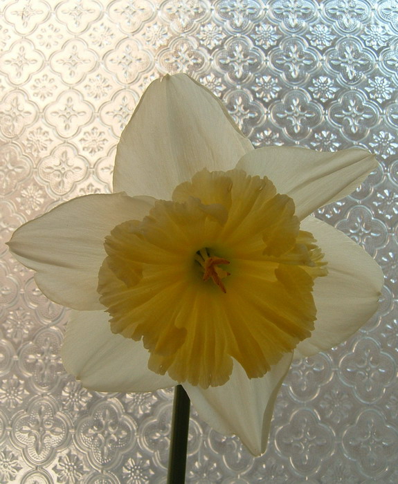 DSCF0015.jpg
