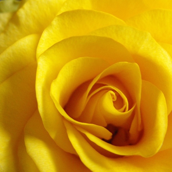 DSCF0036 9.JPG