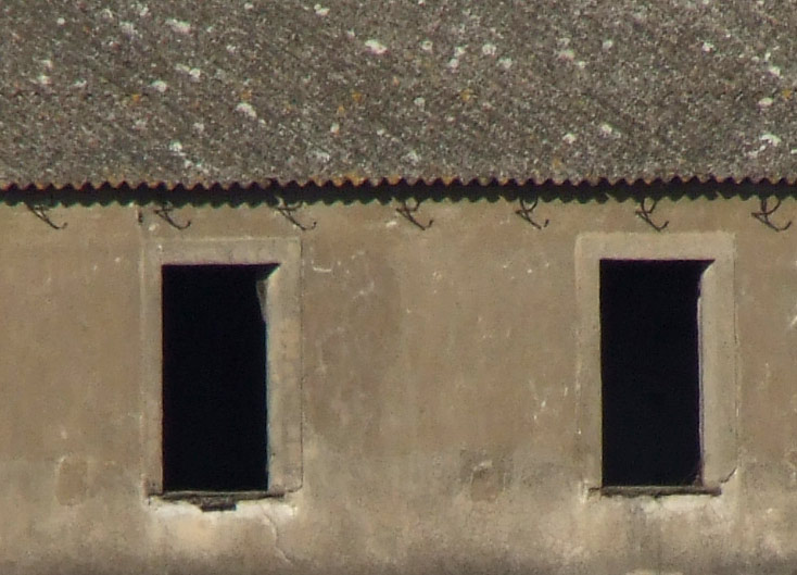 DSCF0037-crop.jpg