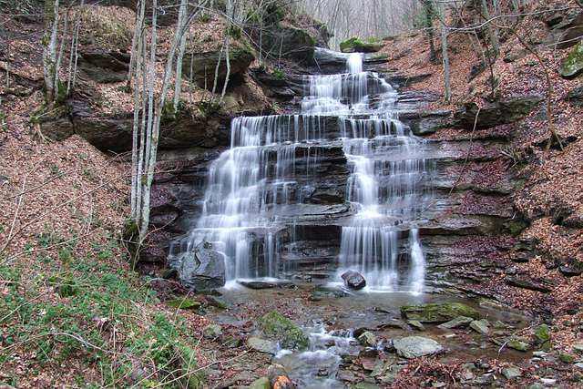 DSCF0046 [640x480].JPG