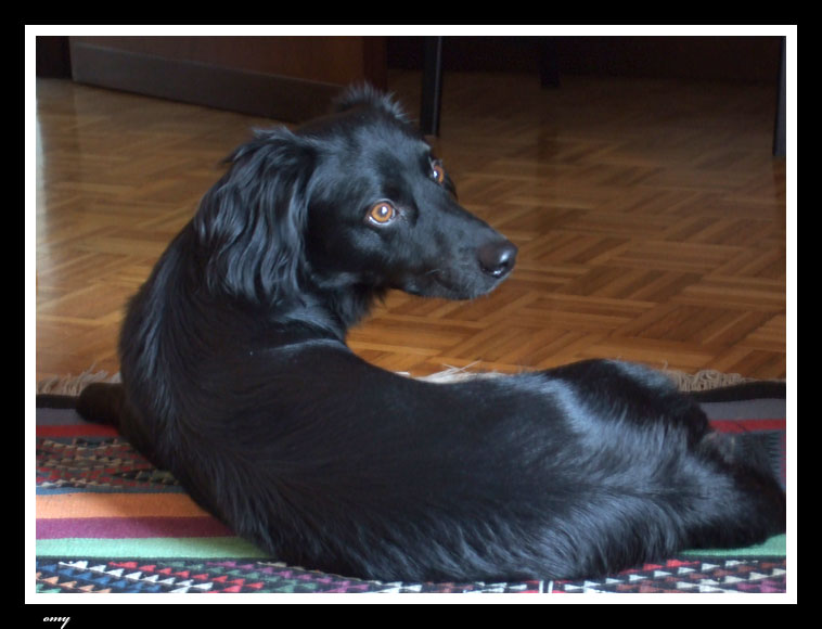 DSCF0053-web.jpg