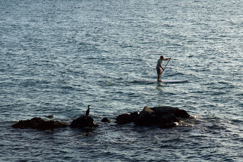 DSCF0060 800.JPG