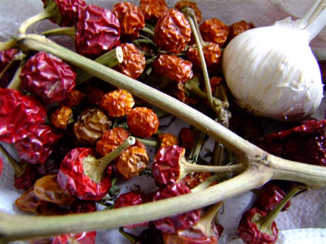 DSCF0089 (Small).JPG