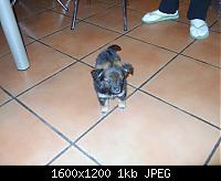 DSCF0102.jpg