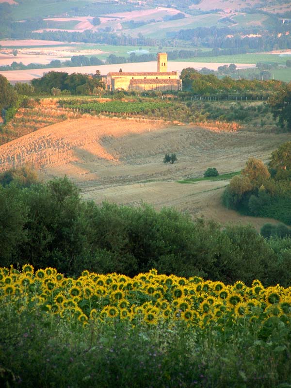 DSCF0114-ritoccata.jpg
