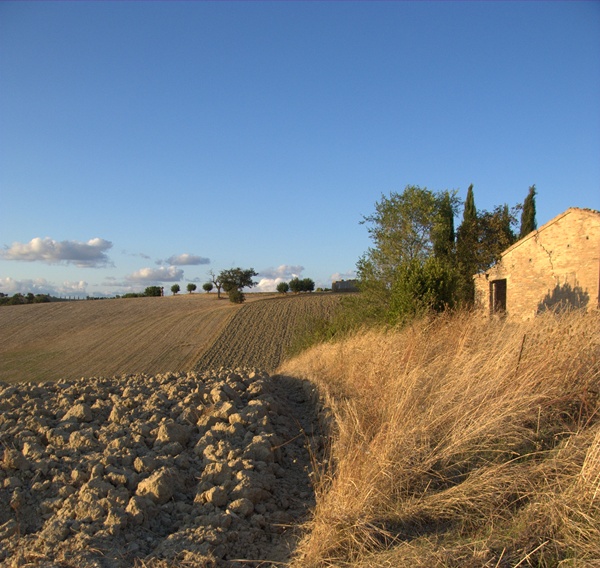 DSCF0127.jpg