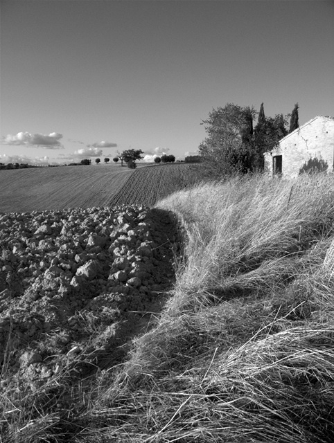 DSCF0127.jpg