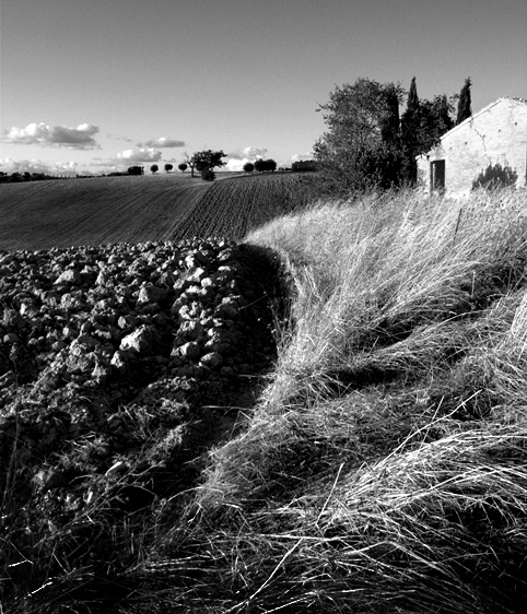 dscf0127_172.jpg