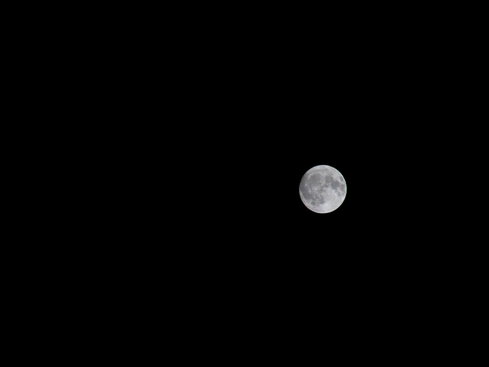 DSCF01371.jpg
