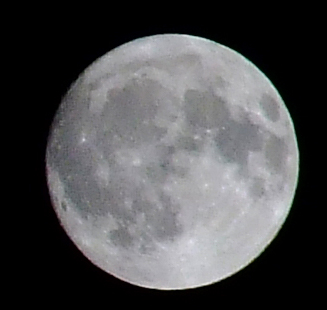 DSCF0137.jpg