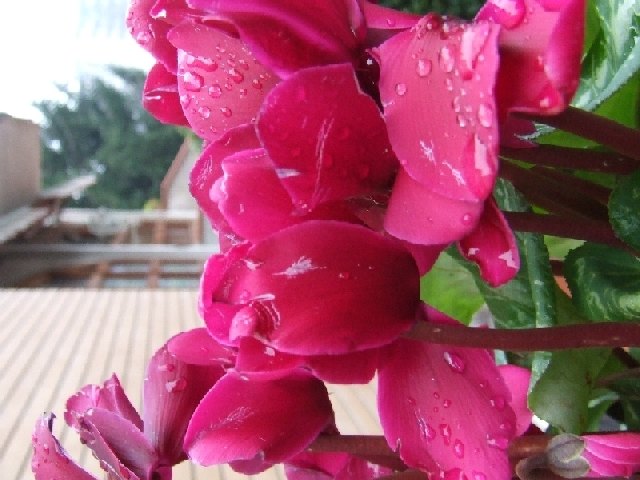 dscf0147.jpg