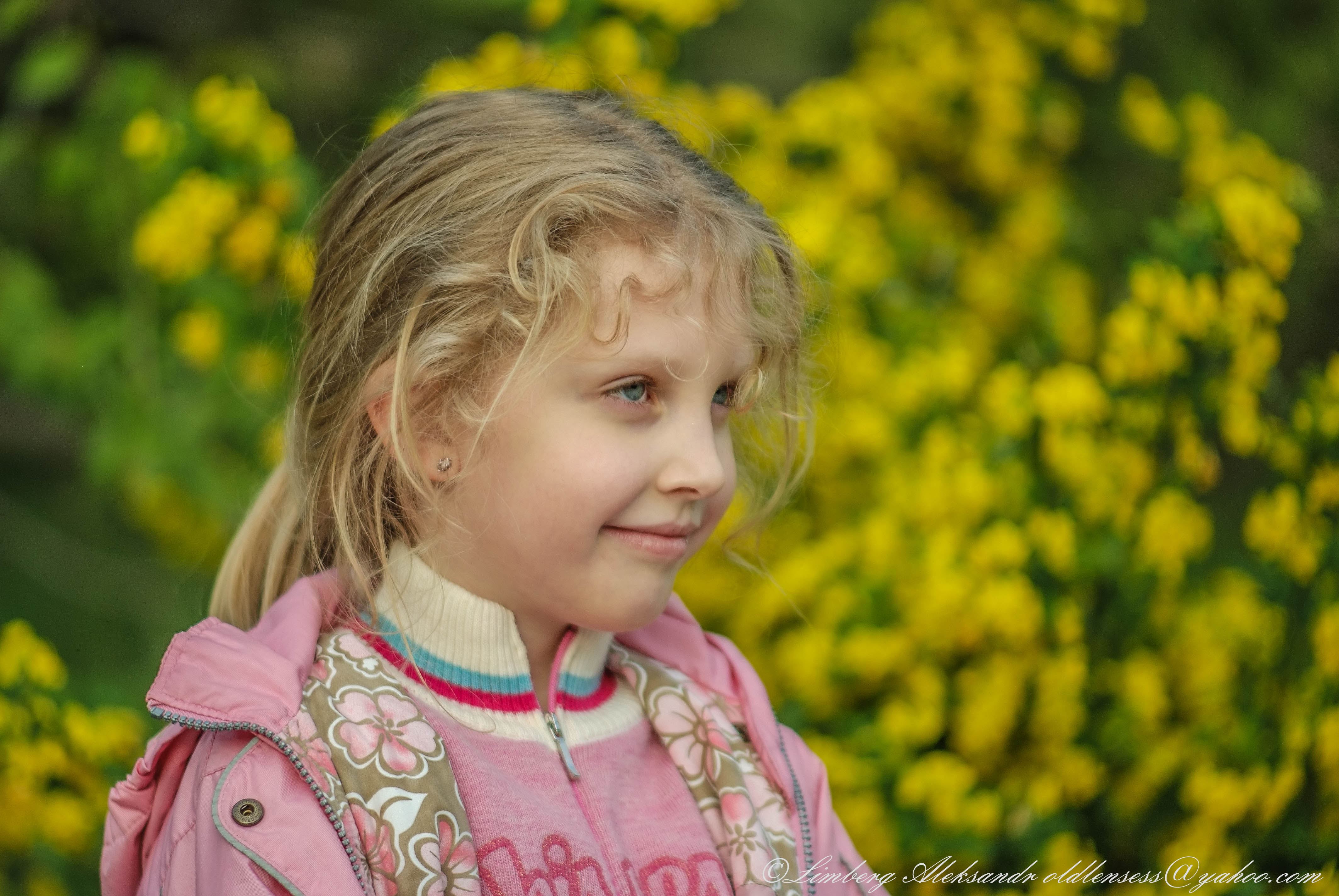 DSCF0150-2.jpg