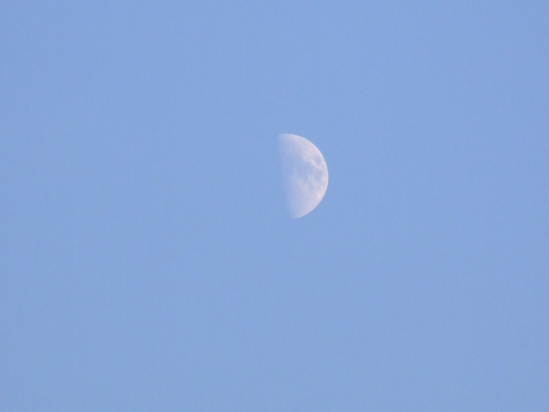 DSCF0181.jpg