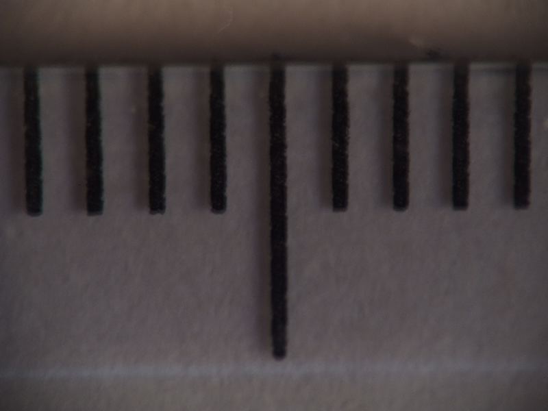DSCF0211_r.jpg