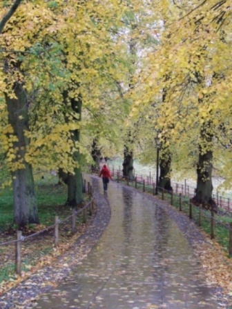 DSCF0214.JPG