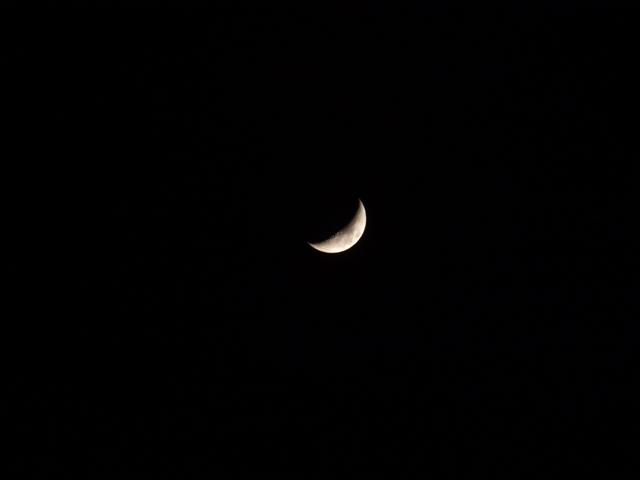 DSCF0218 (Small).JPG