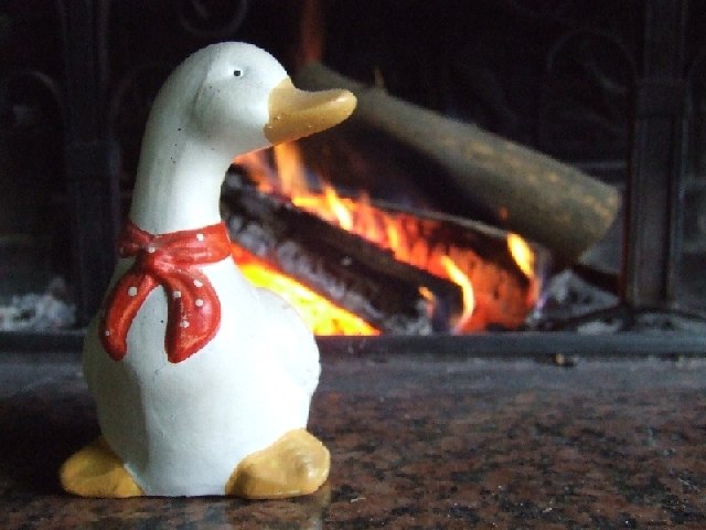 dscf0226.jpg