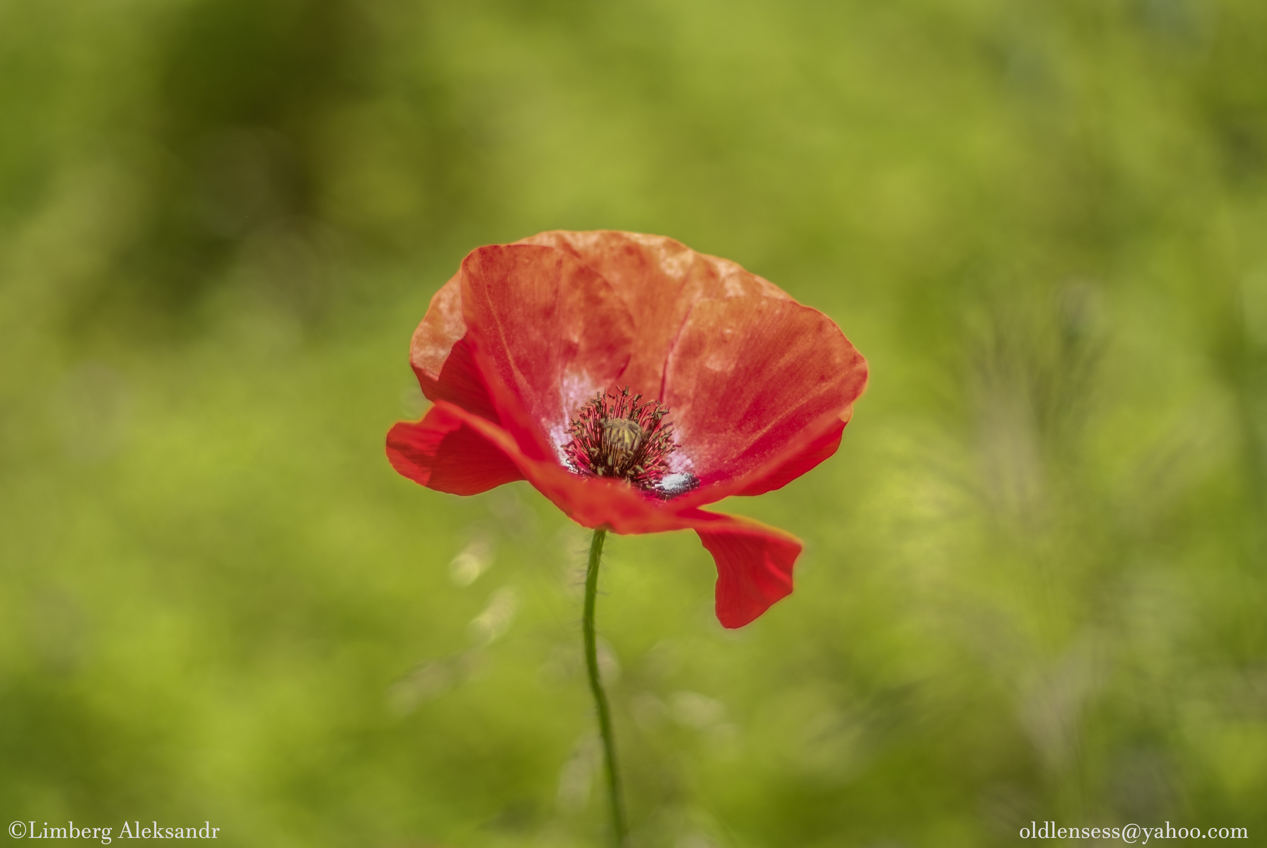 DSCF0261.jpg