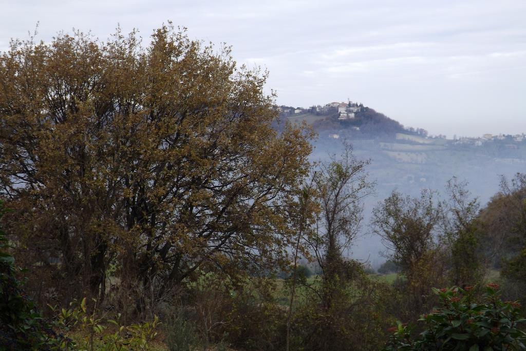 DSCF0281_3.JPG