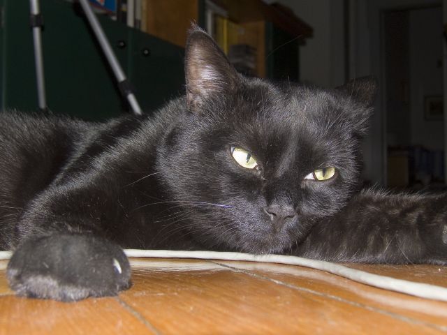 DSCF0282.jpg