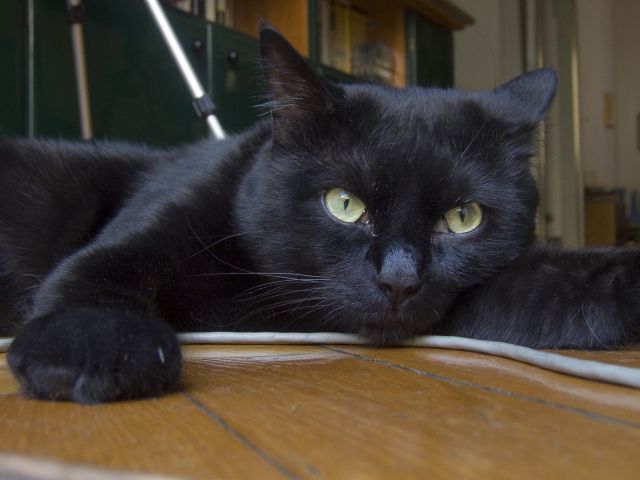 DSCF0284.jpg
