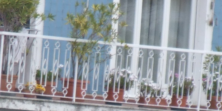 DSCF0289 crop.jpg
