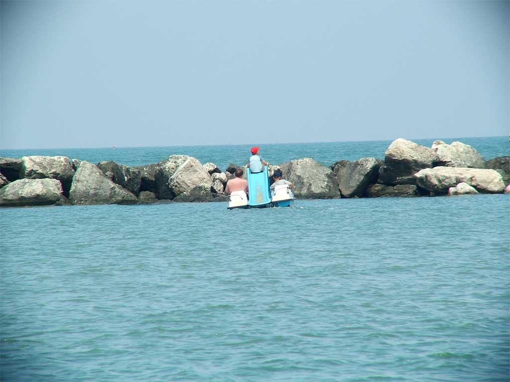 DSCF0290.jpg