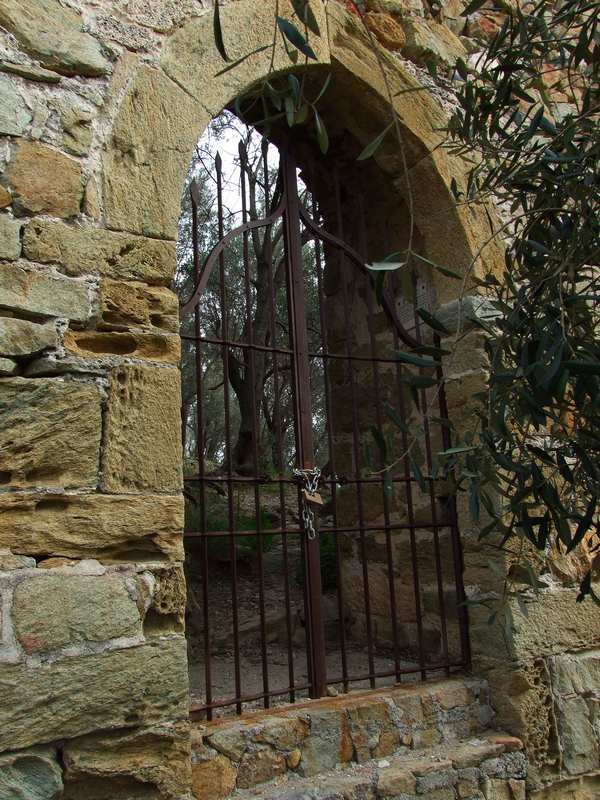 DSCF0291.JPG