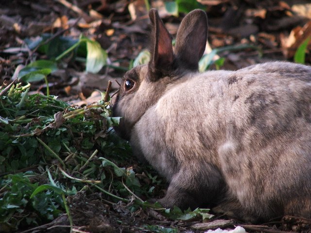 DSCF0308.JPG