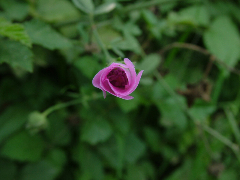 DSCF0323.jpg