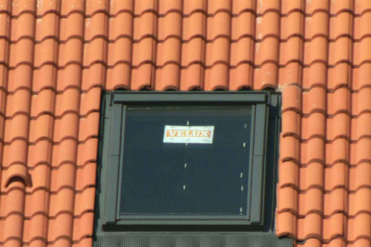 DSCF0350.JPG