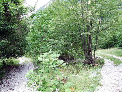 DSCF0366_640.jpg