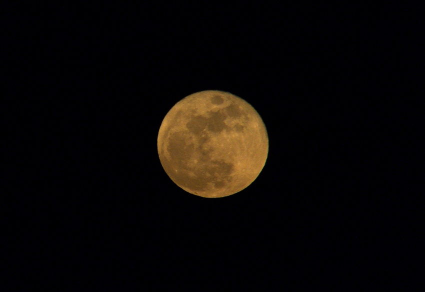 DSCF0370.JPG