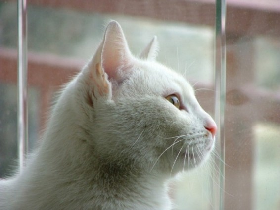 DSCF0375.jpg
