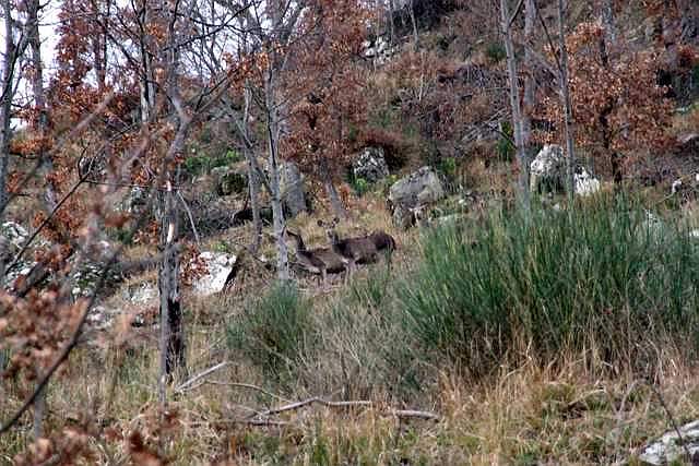 DSCF0375 [640x480].JPG