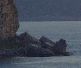 DSCF0385 crop 1.jpg
