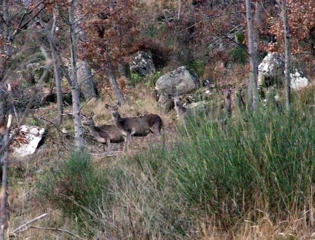 DSCF0394_1 [640x480].jpg