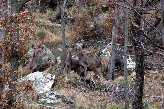 DSCF0409 [640x480].JPG