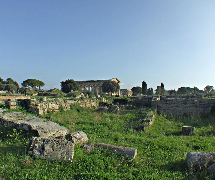 DSCF0442.jpg