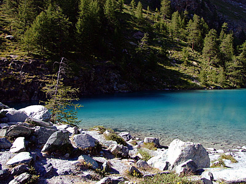 dscf0468kb6.jpg