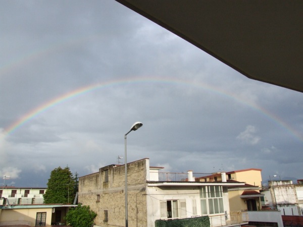DSCF0541.JPG