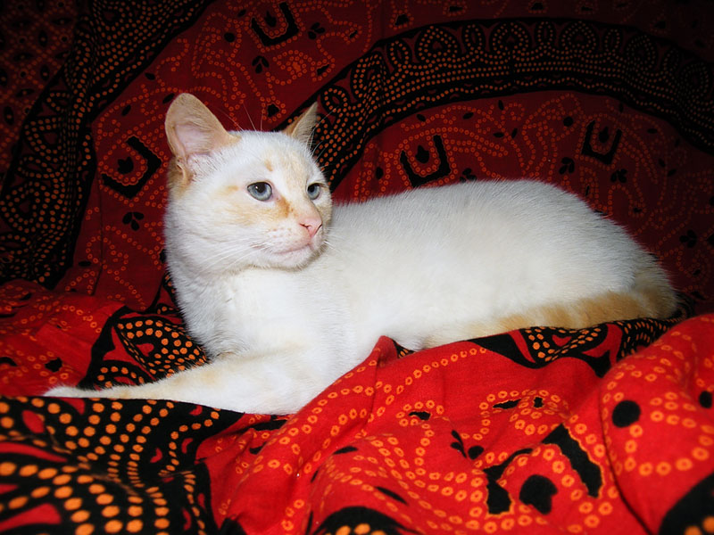 DSCF0553 800.jpg