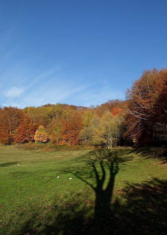 DSCF0559.jpg