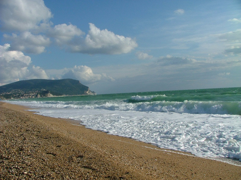 DSCF0600_800.jpg