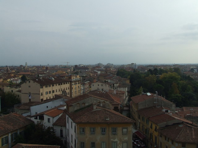 DSCF0628.jpg