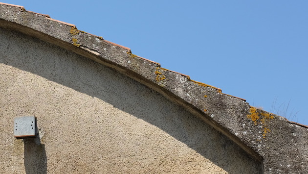 DSCF0652-2.jpg