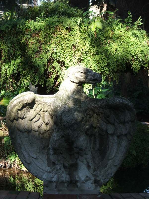 DSCF0701.jpg